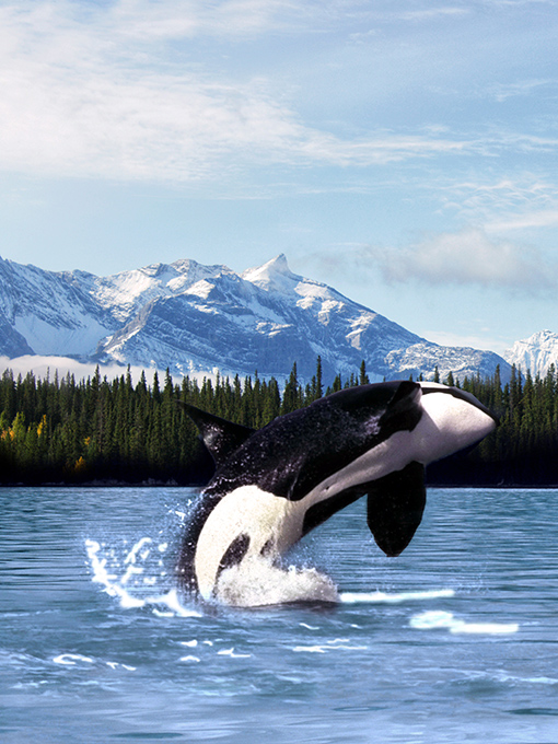 Up to $150 Onboard Credit